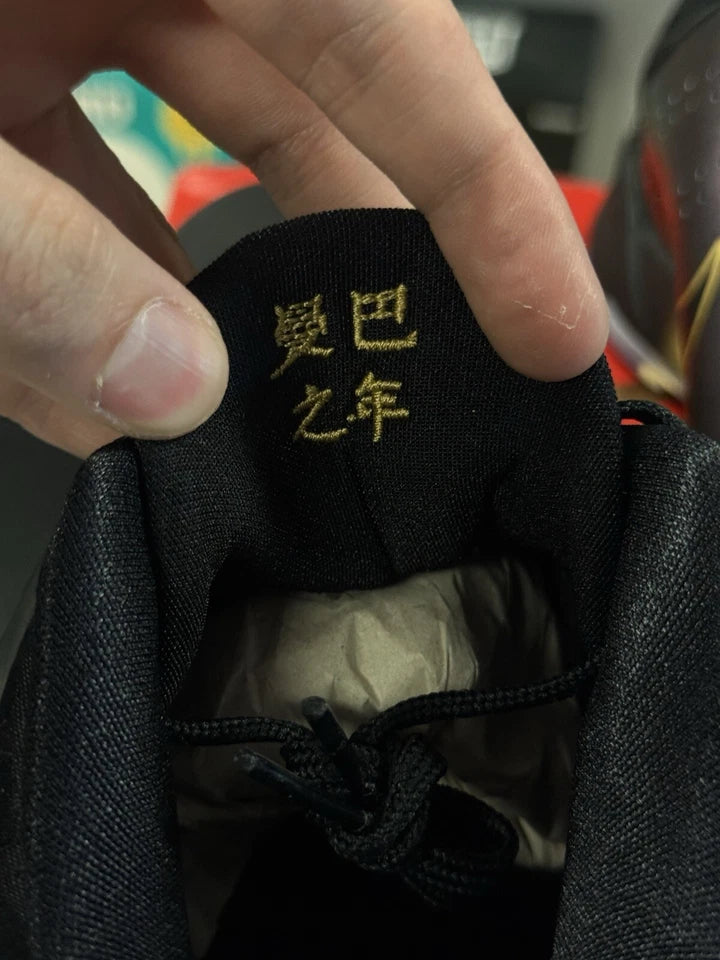 Kobe 5 Protro Eggplant/Black-Metallic Gold