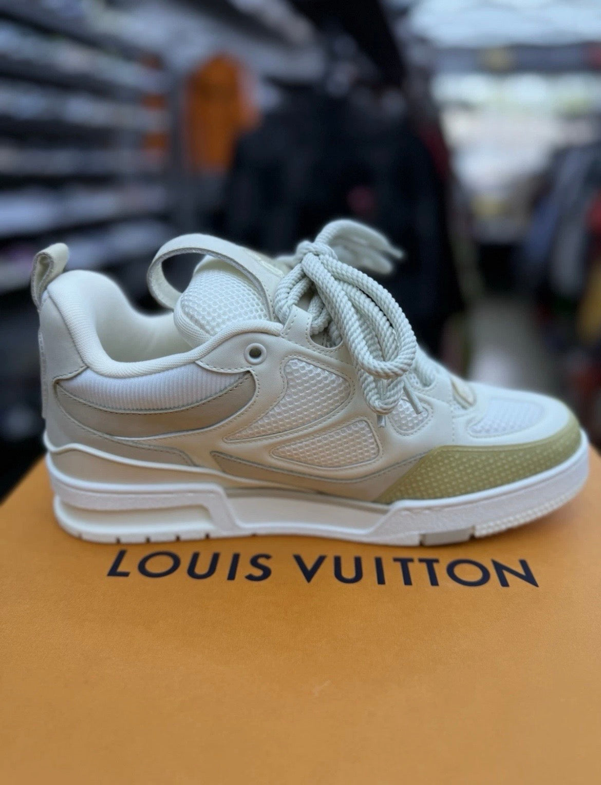 Louis Vuitton Skate Trainer White