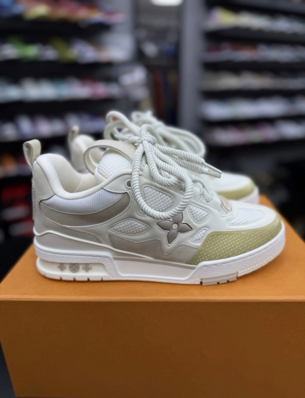 Louis Vuitton Skate Trainer White