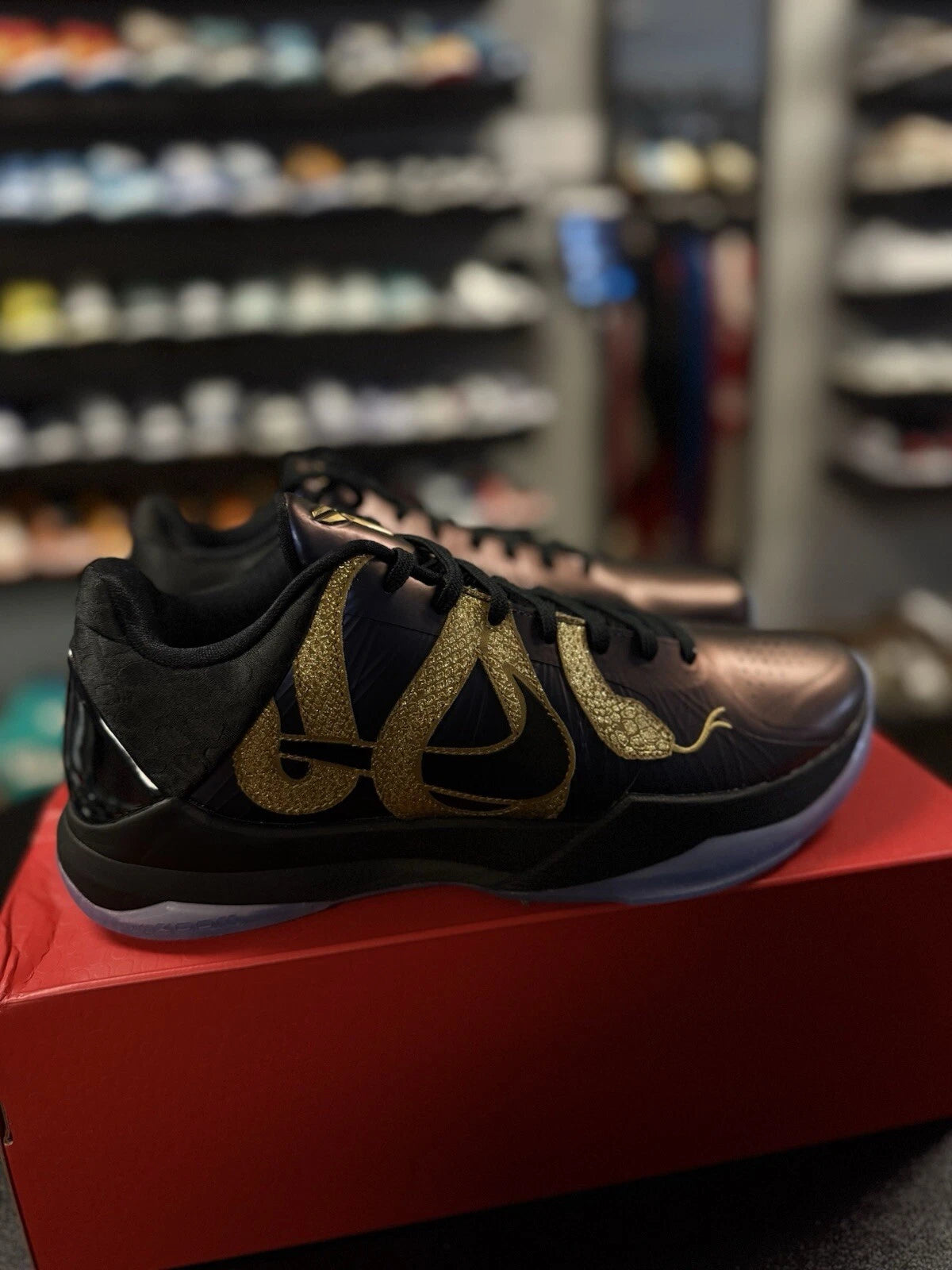 Kobe 5 Protro Eggplant/Black-Metallic Gold